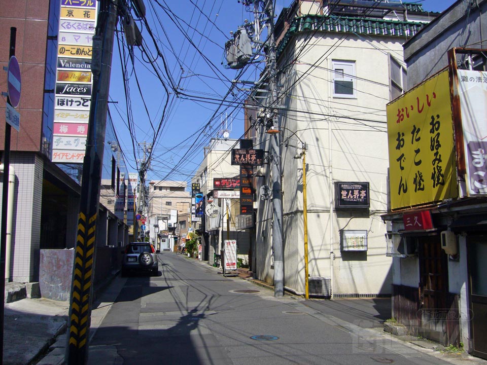 花柳通り写真画像