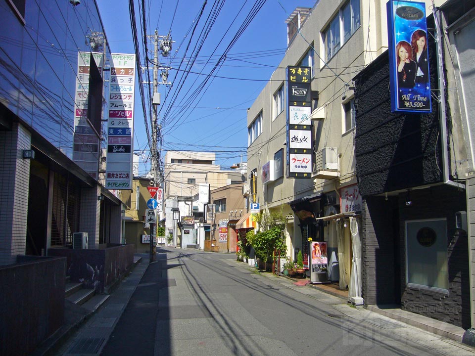 花柳通り写真画像