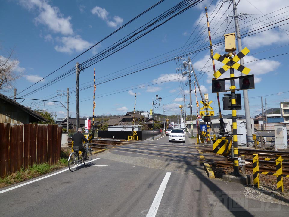 かかみの通り写真画像