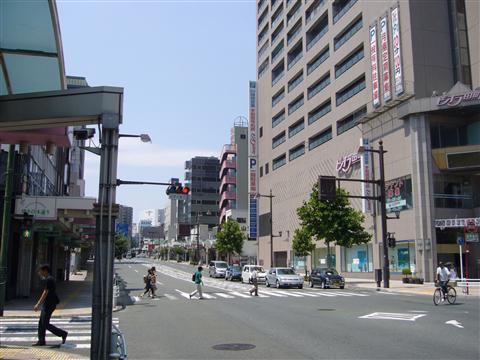 ゆりの木通り写真画像
