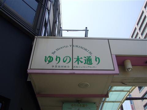 ゆりの木通り写真画像
