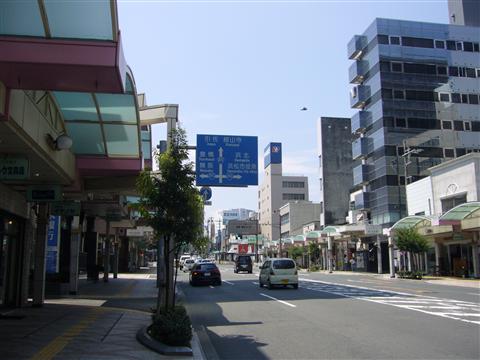 ゆりの木通り写真画像