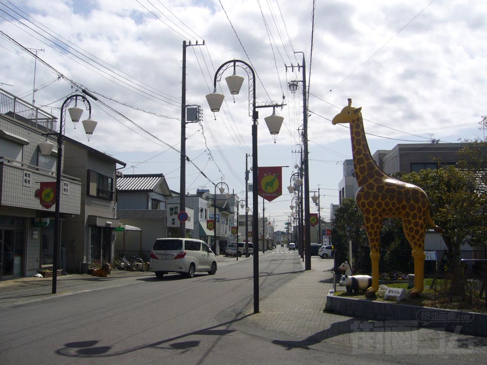 菊川中央商店街写真画像