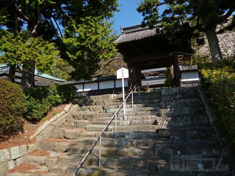 清見寺写真画像
