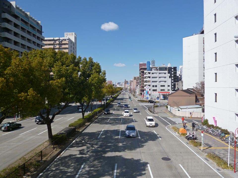 伏見通り(国道19号線)