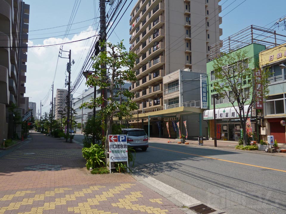 諏訪新道