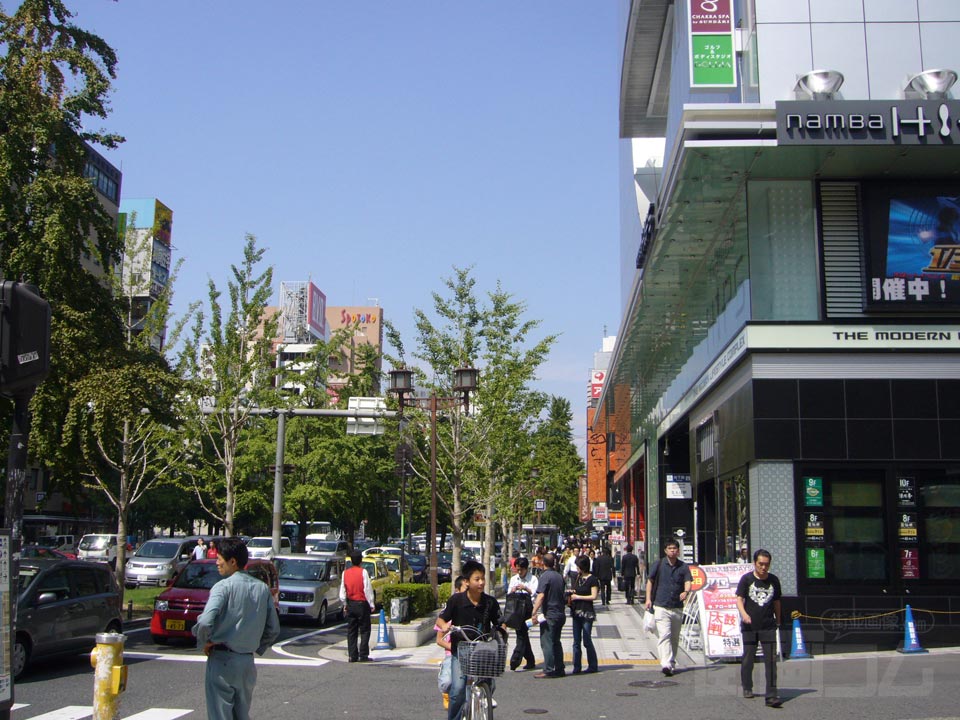 御堂筋写真画像