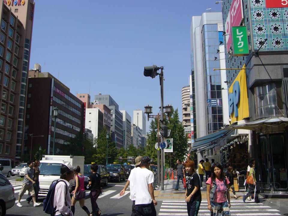御堂筋写真画像