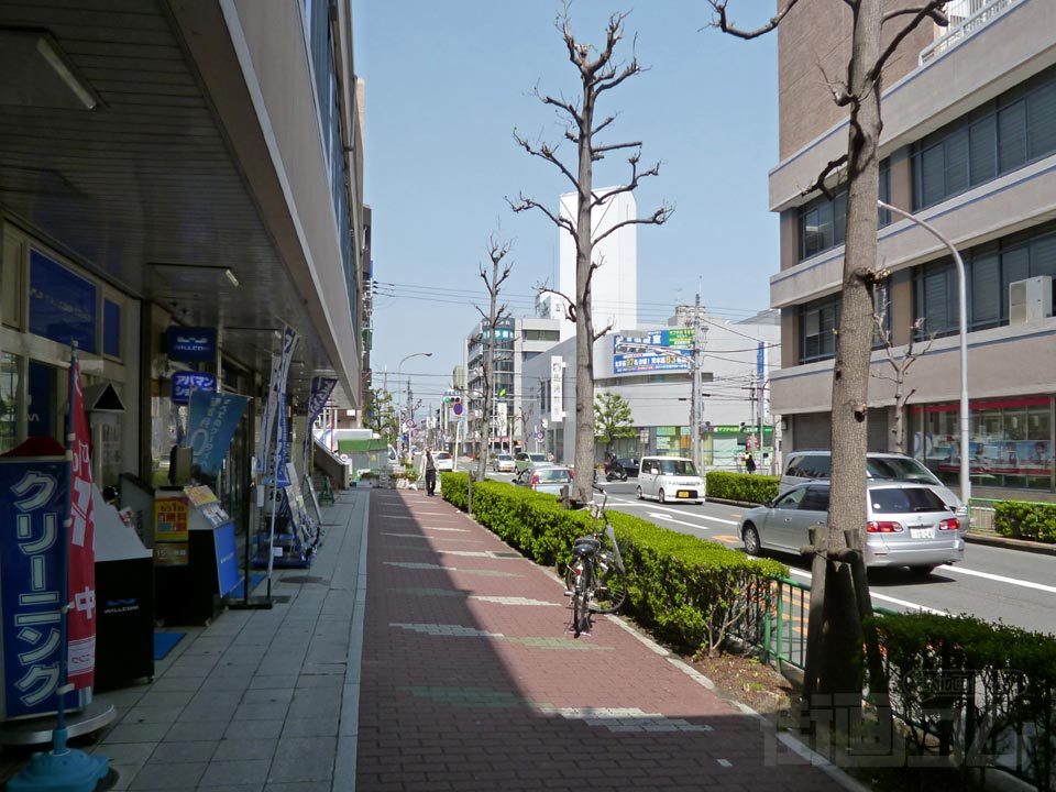 府道15号線