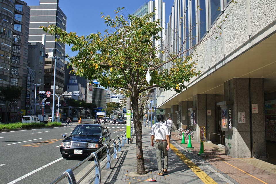 曽根崎通(国道2号線)