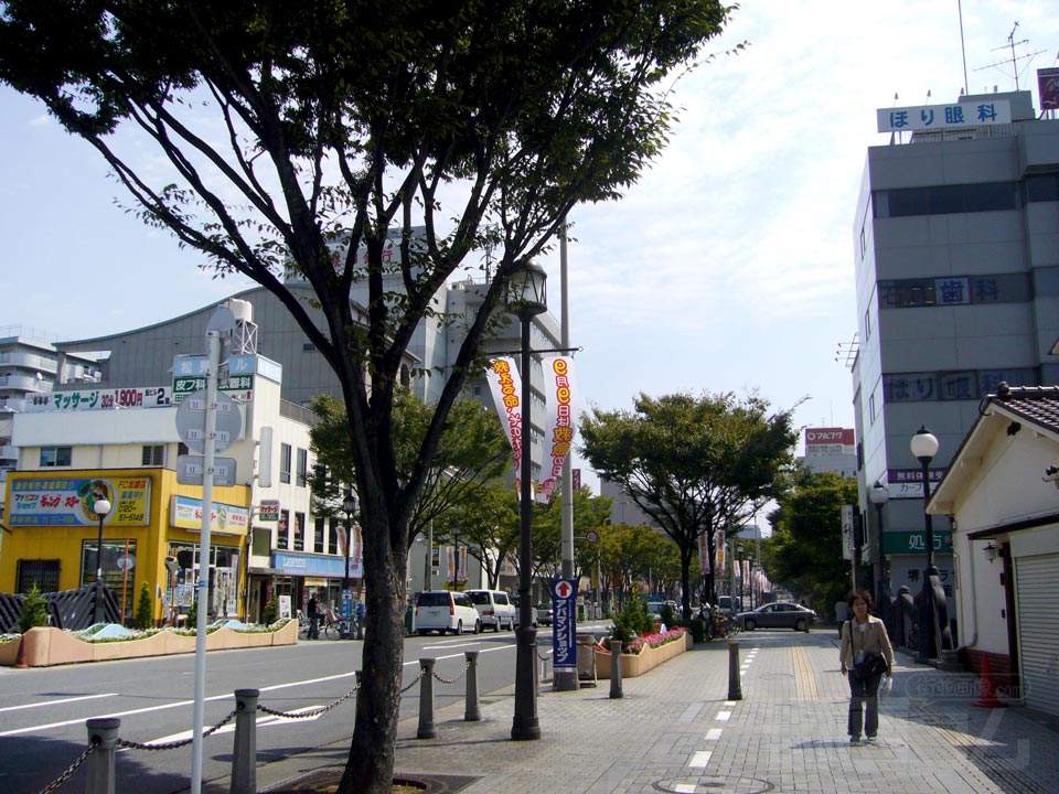 大小路シンボルロード写真画像
