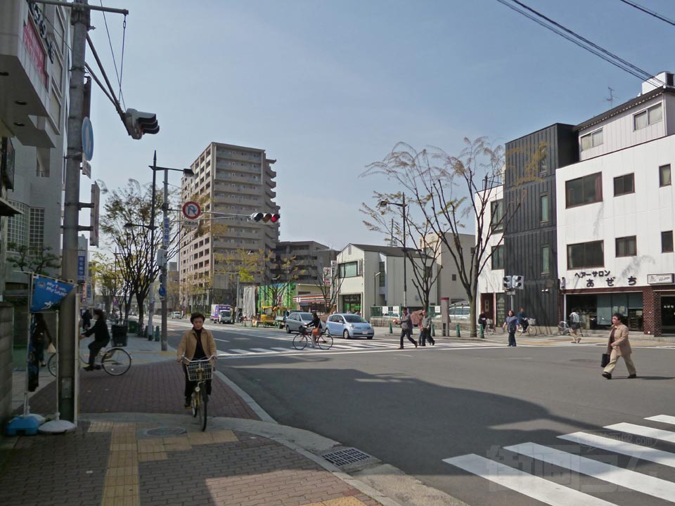 市役所前けやき大通り