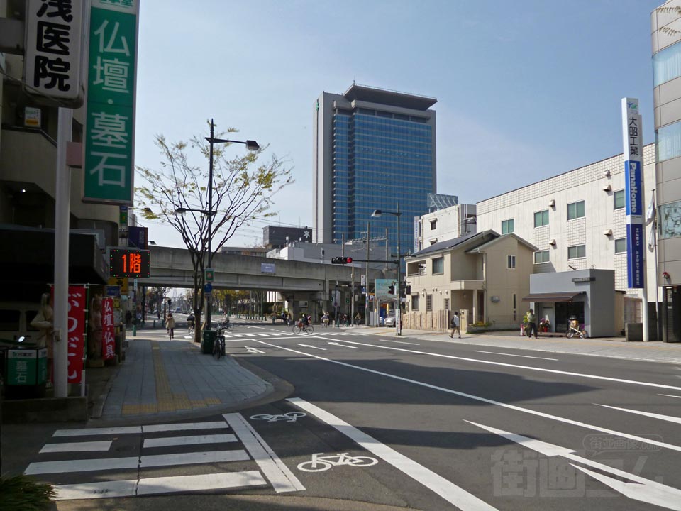 市役所前けやき大通り