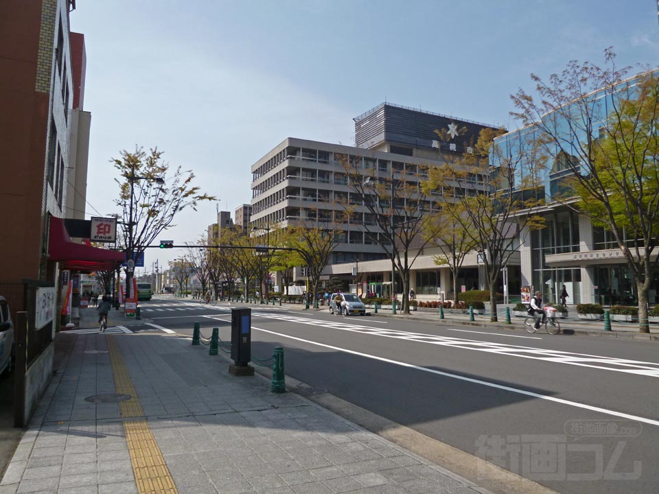市役所前けやき大通り