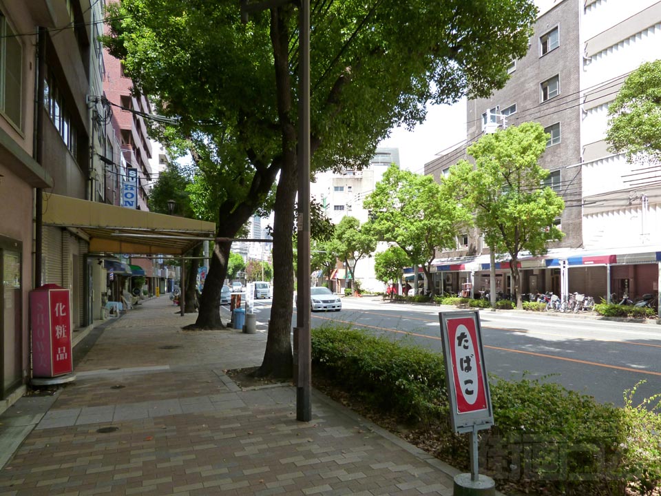 県道21号線