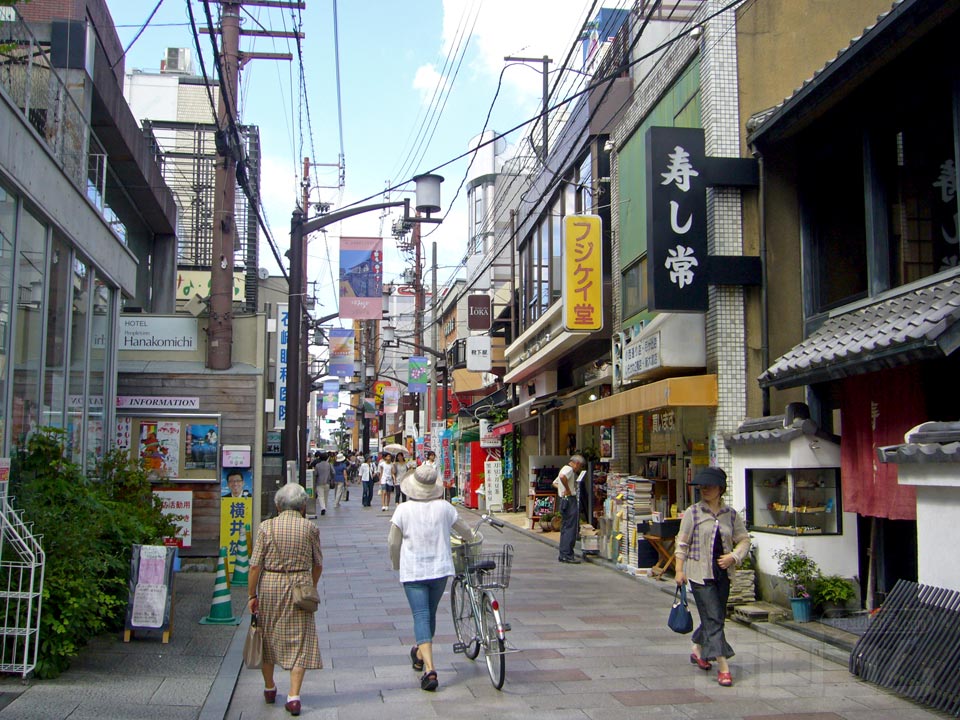 小西さくら通り写真画像