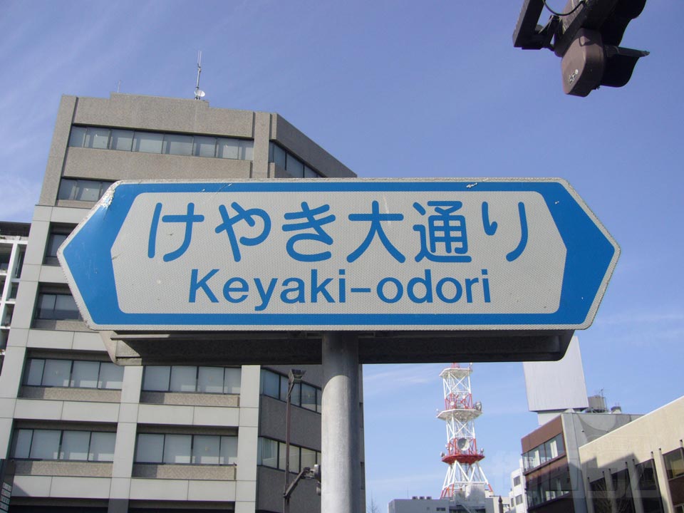 けやき大通り