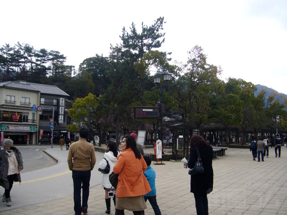 宮島桟橋前