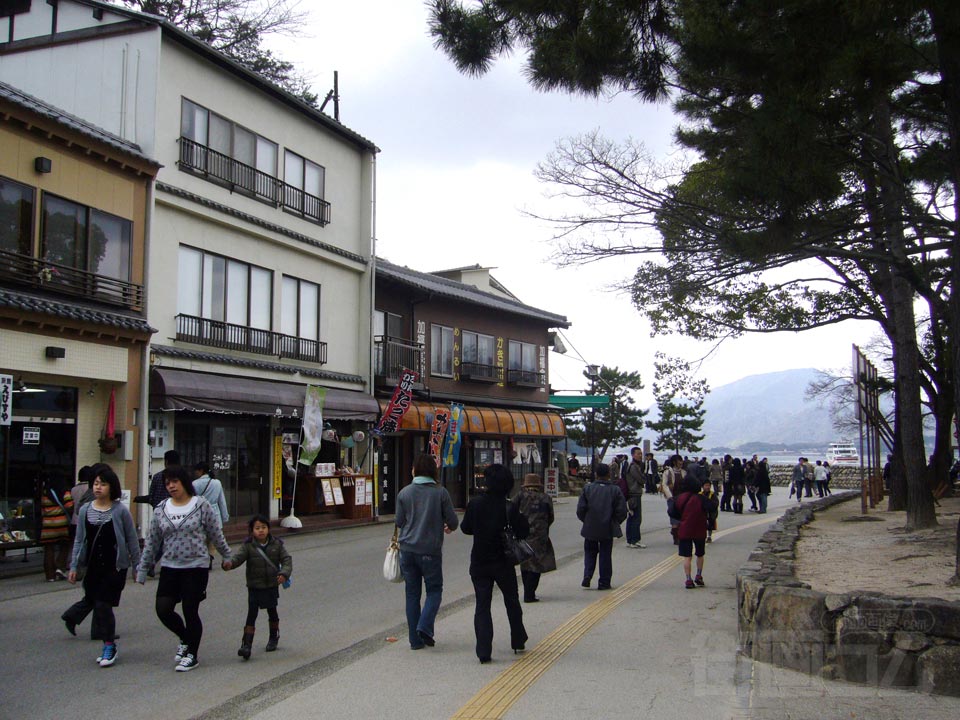 海岸通り