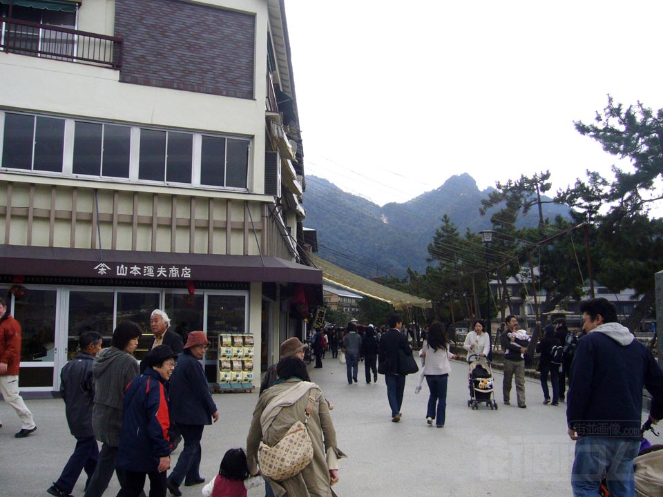 海岸通り