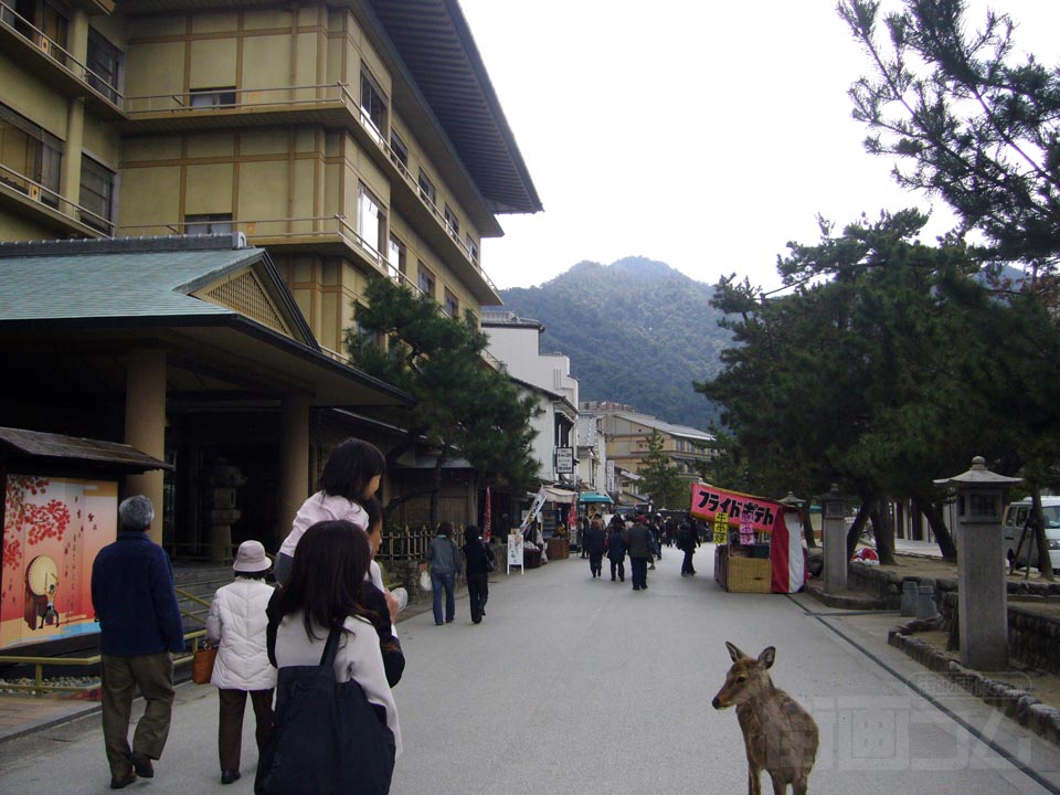 海岸通り