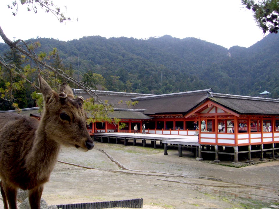 厳島神社