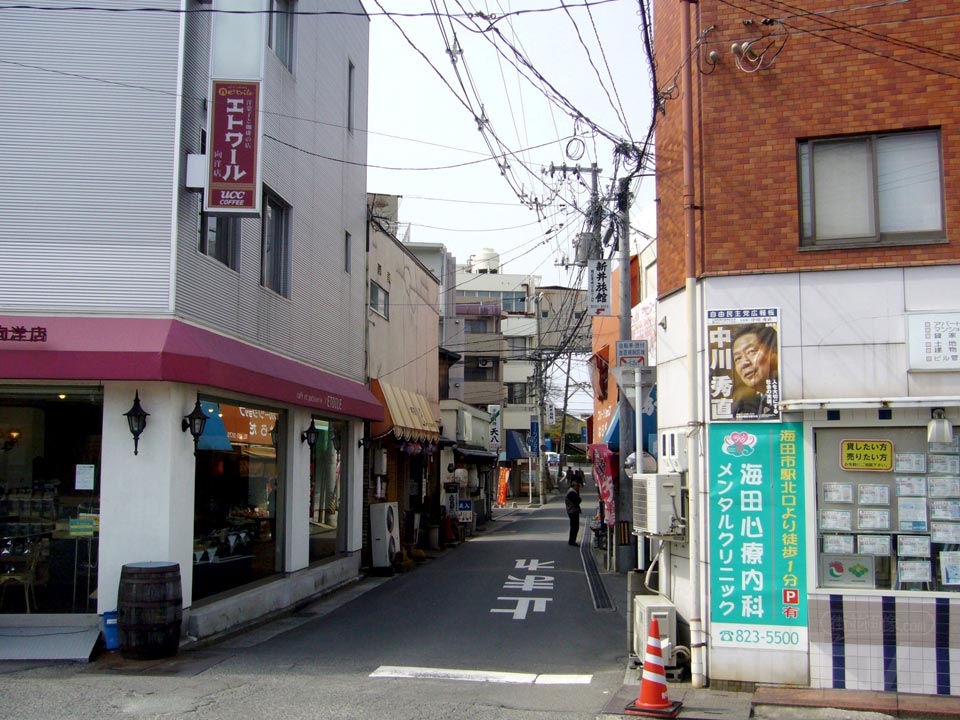 向洋