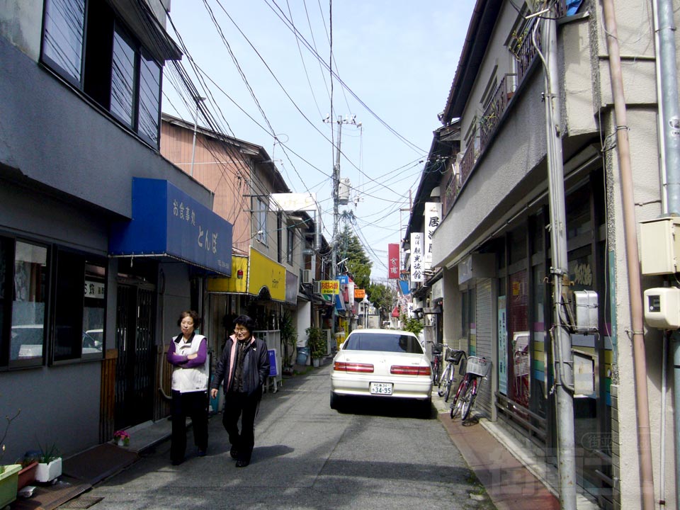向洋