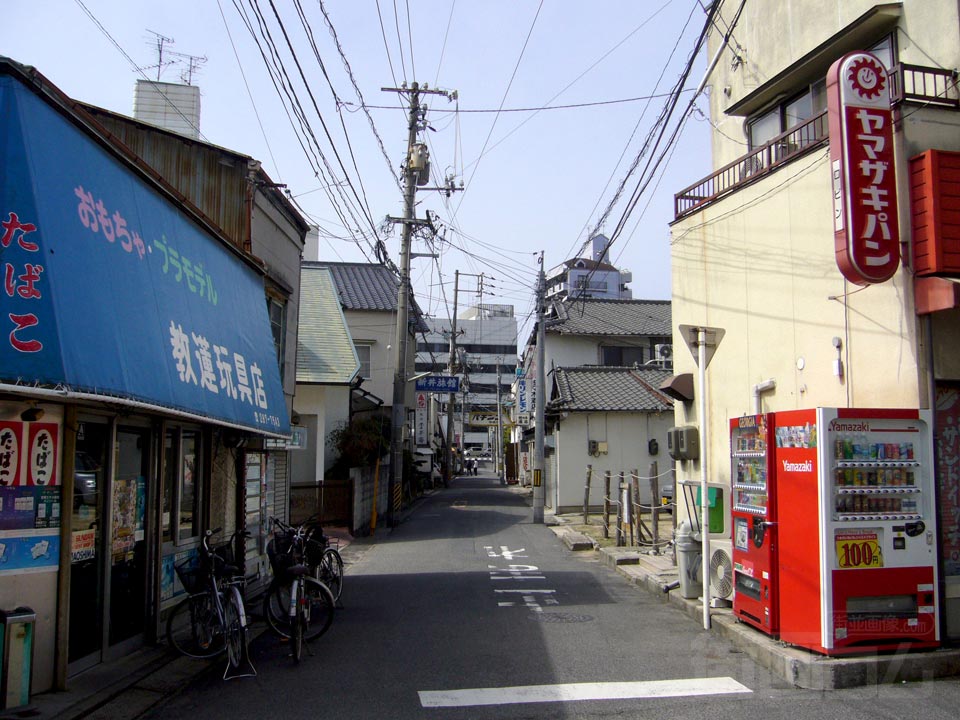 向洋