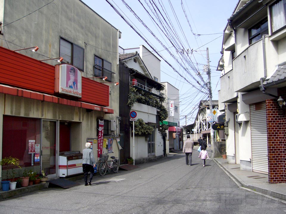 向洋
