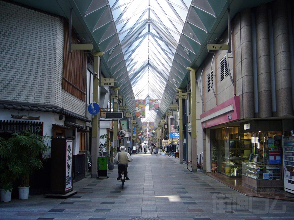ライオン通り写真画像