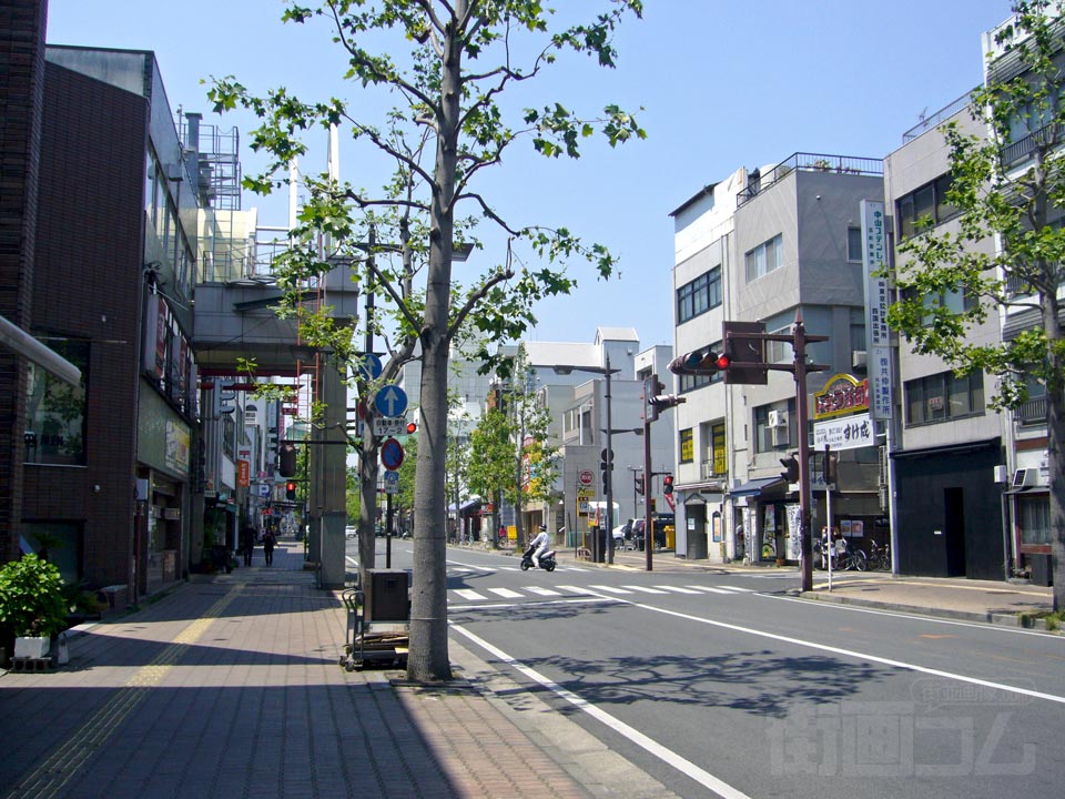 菊池寛通り写真画像