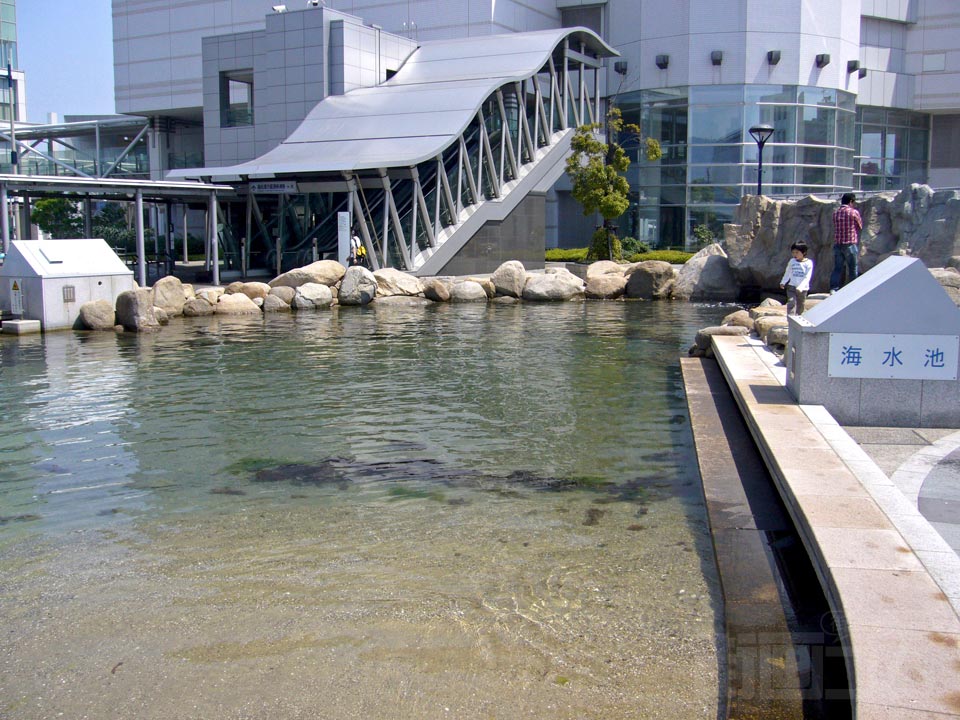 海水池