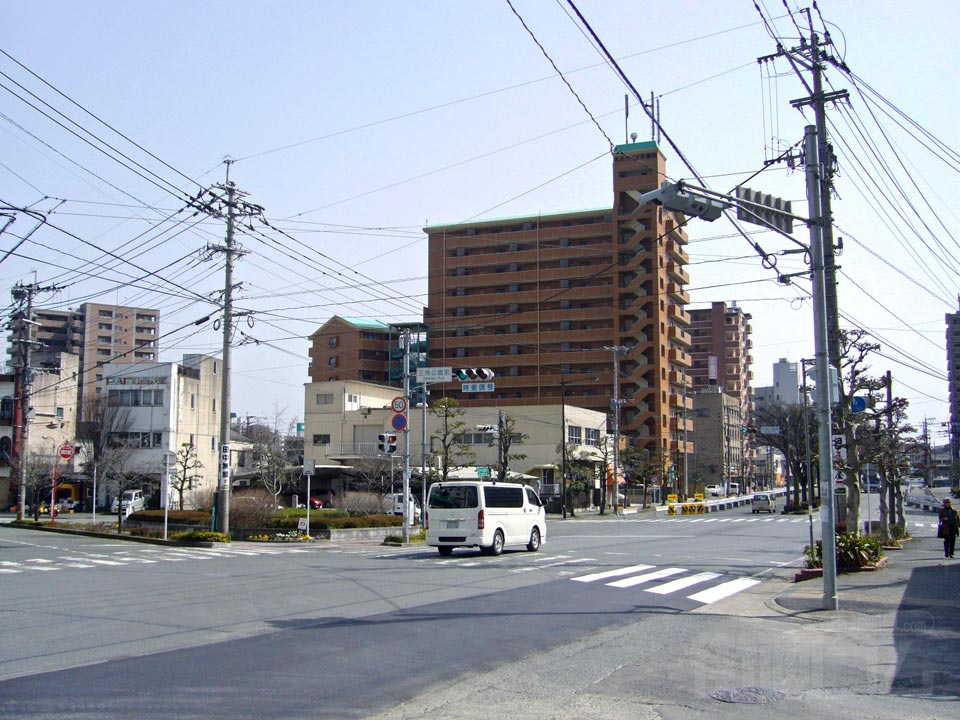 けやき通り写真画像