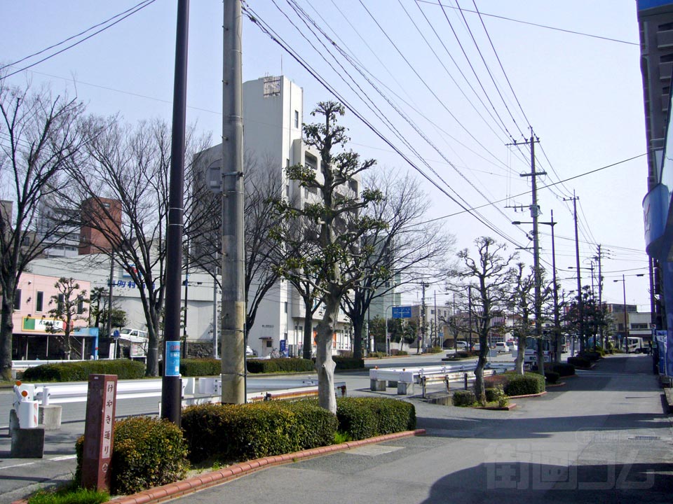 けやき通り写真画像