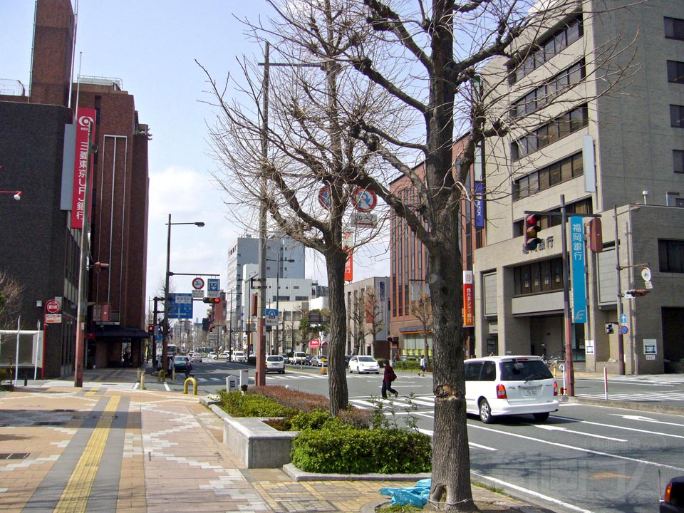 明治通り(国道209号線)