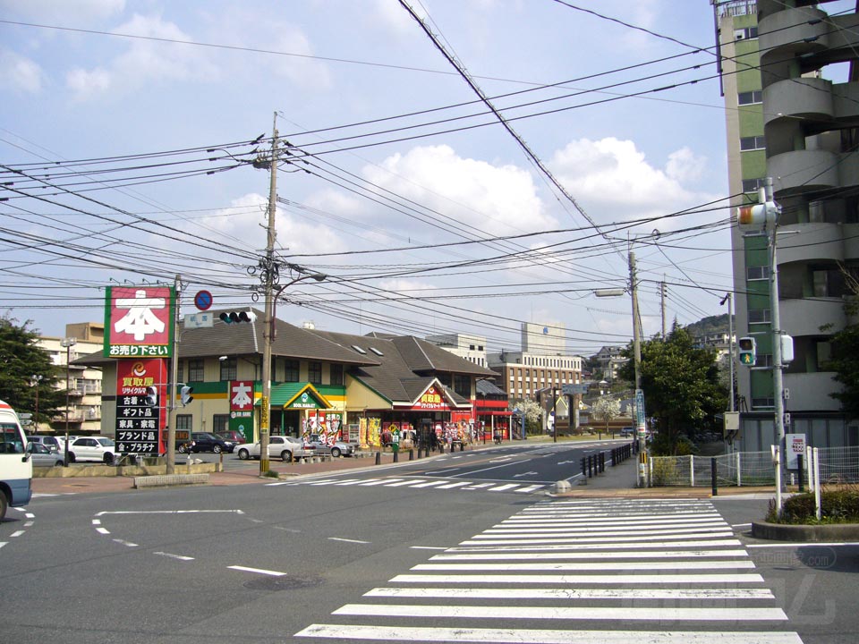 さくら通り写真画像