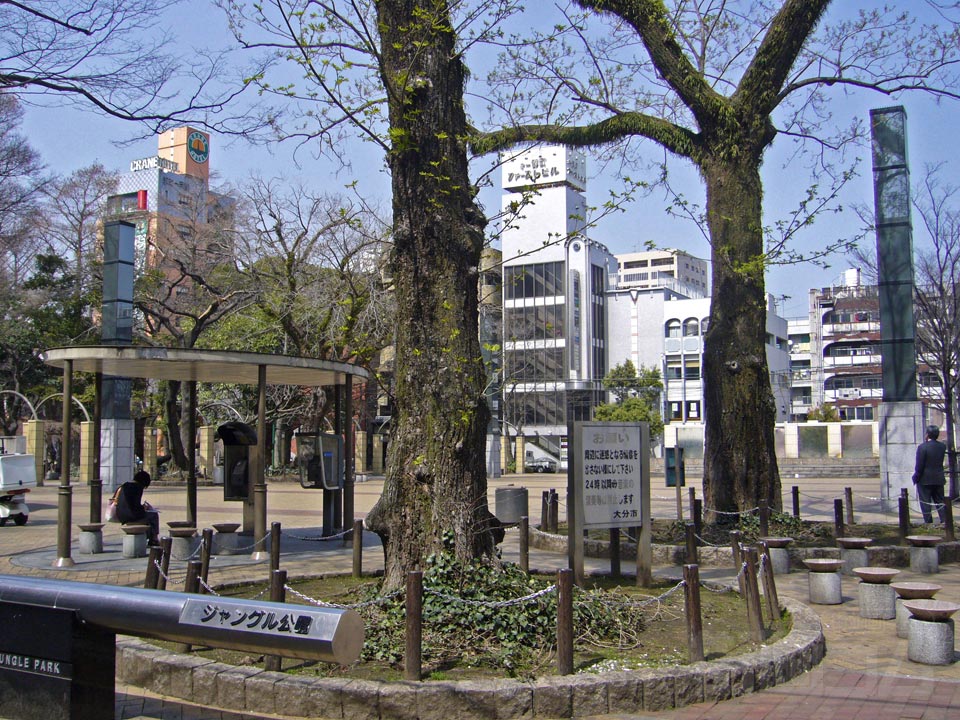 ジャングル公園