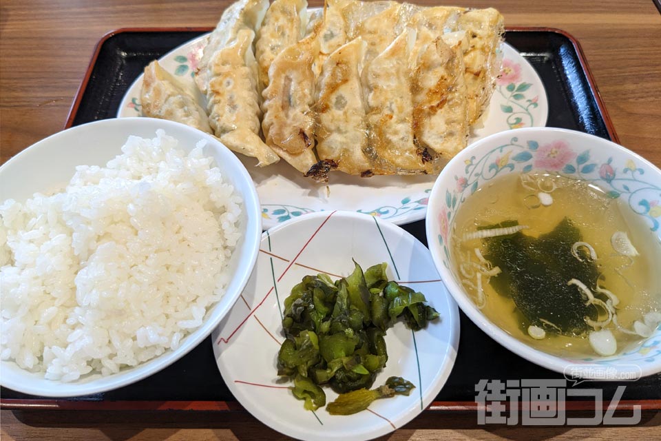 宇都宮餃子館「12種食べくらべセット」