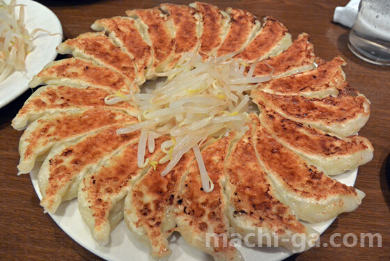 浜松餃子ランキング【第1位】石松本店