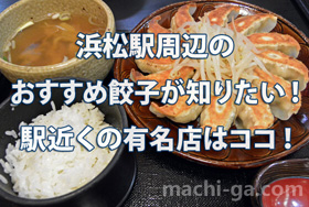 浜松駅周辺のおすすめ餃子が知りたい！駅近くの有名店はココ！