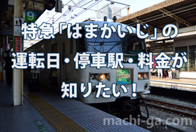 特急「はまかいじ」の運転日・停車駅・料金が知りたい!