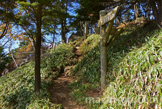 半月山けもの道的な登山道5