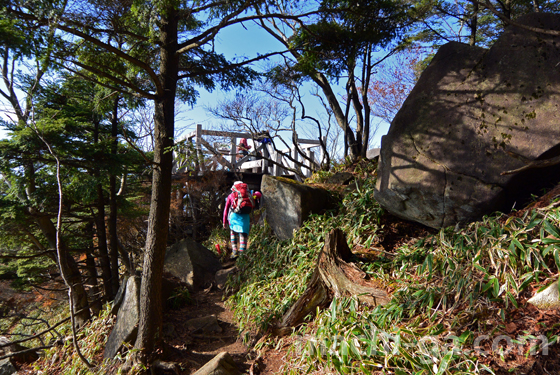 半月山けもの道的な登山道6