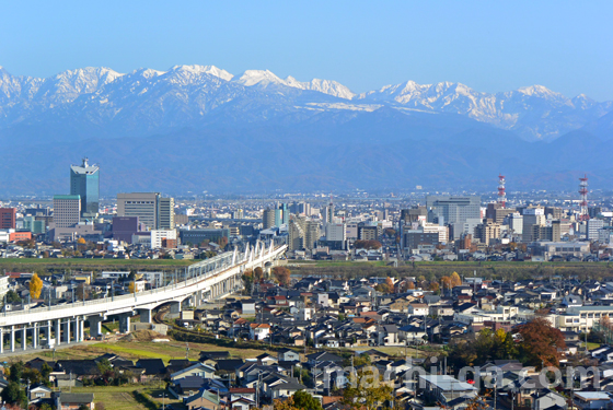 ます寿司屋さんは朝が早い