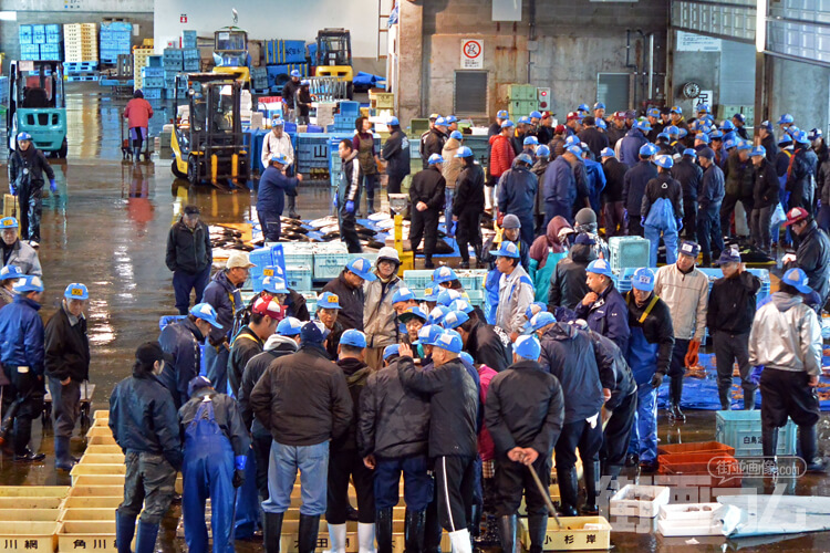 氷見漁港で水揚げ・セリを見学!寒ブリにも会える!