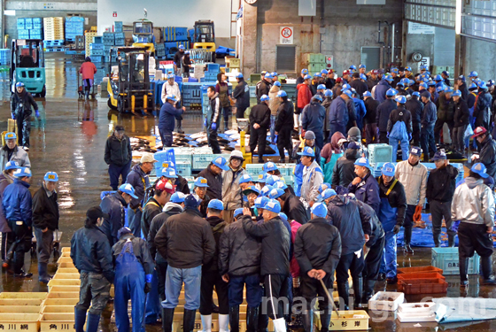 氷見漁港寒ブリセリ1