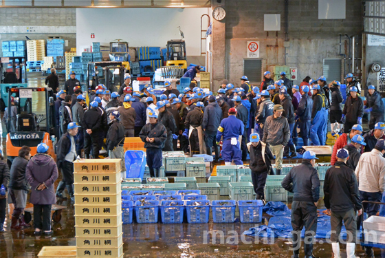氷見漁港寒ブリセリ2