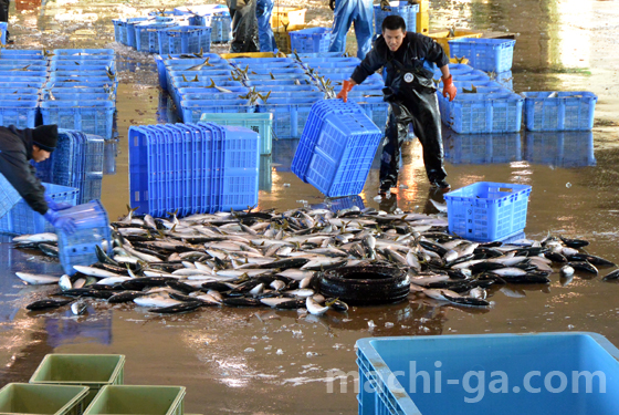 フクラギ仕分け