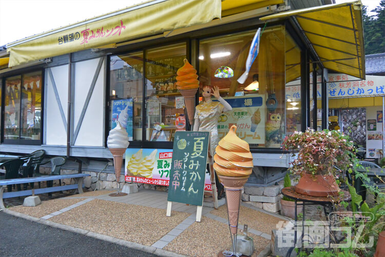 もうひとつの秋芳洞名物「夏みかんソフトクリーム」